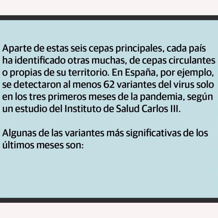 ¿Cuántas cepas y variantes hay del coronavirus?